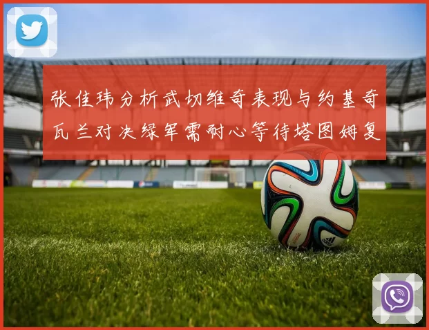 张佳玮分析武切维奇表现与约基奇瓦兰对决绿军需耐心等待塔图姆复出